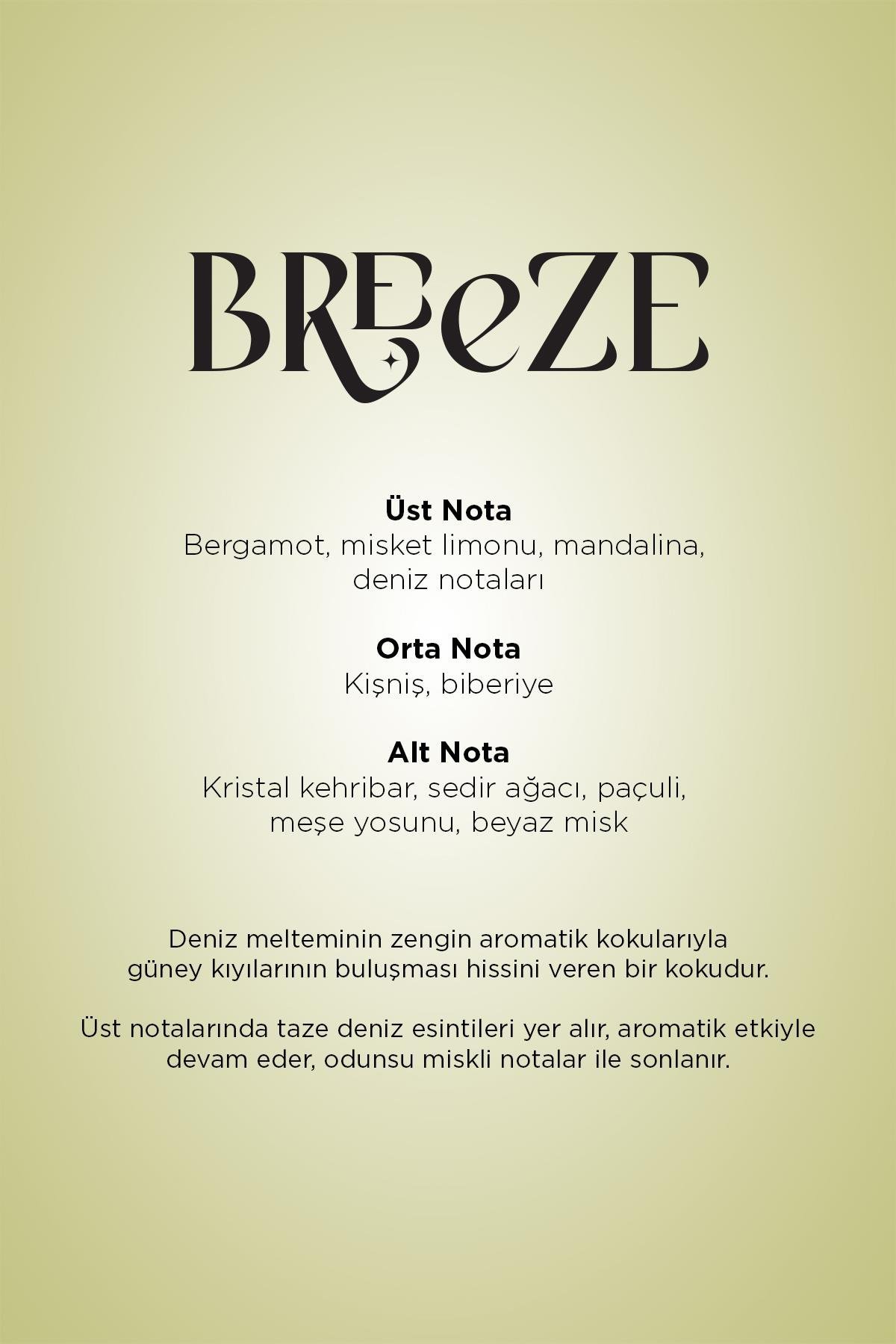 CARPEX 125 ML KOKU KARTUŞU BREEZE-E2 POWER